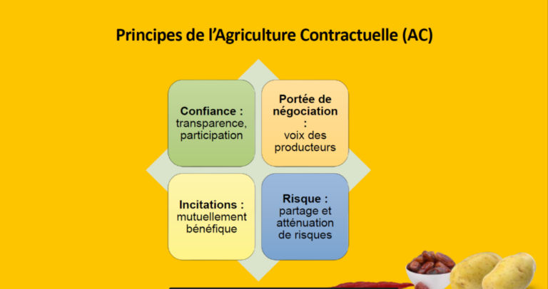 Agriculture contractuelle