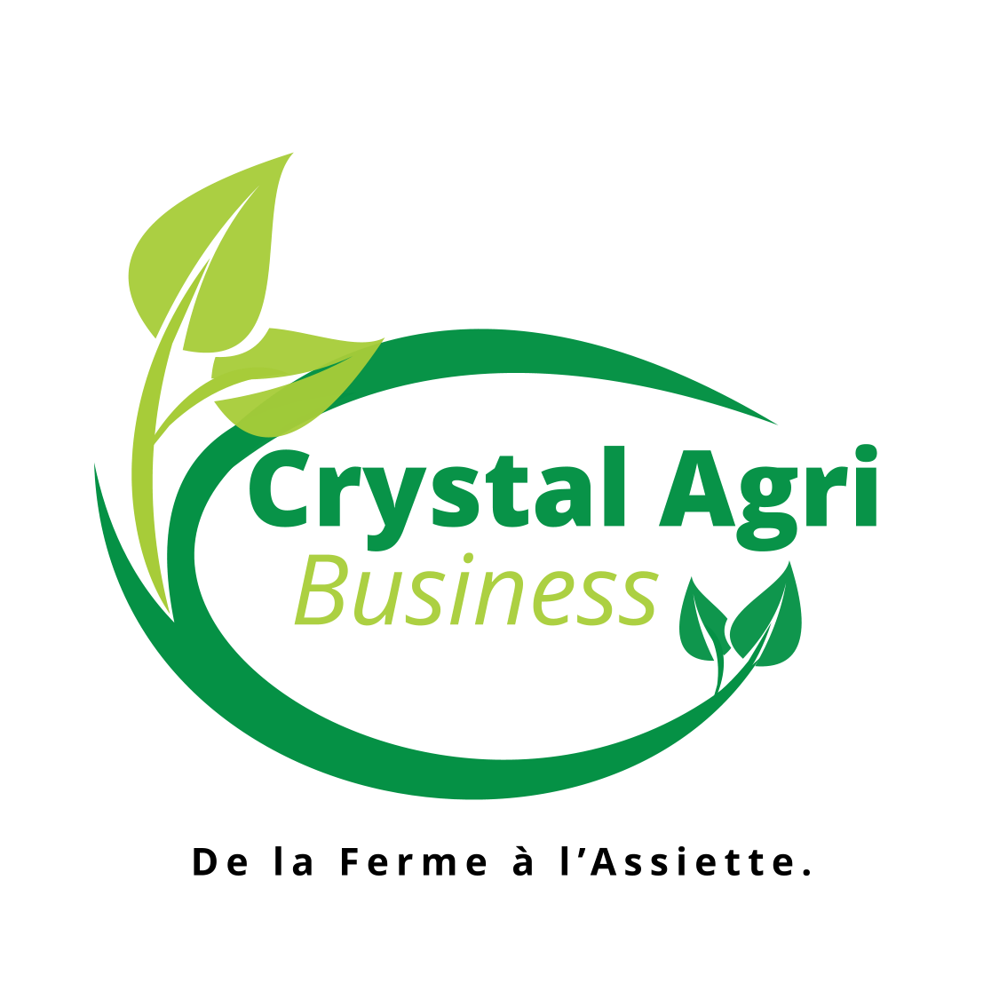 Crystal Agri Business
